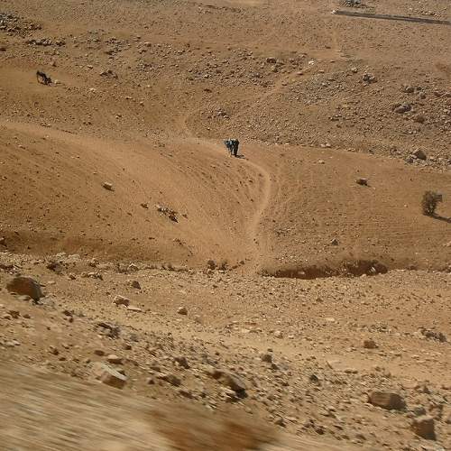 Photo #10814884