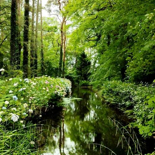 The Secret Garden