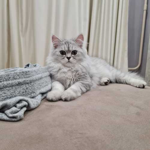 Photo #10815175