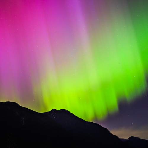 Photo #10815328