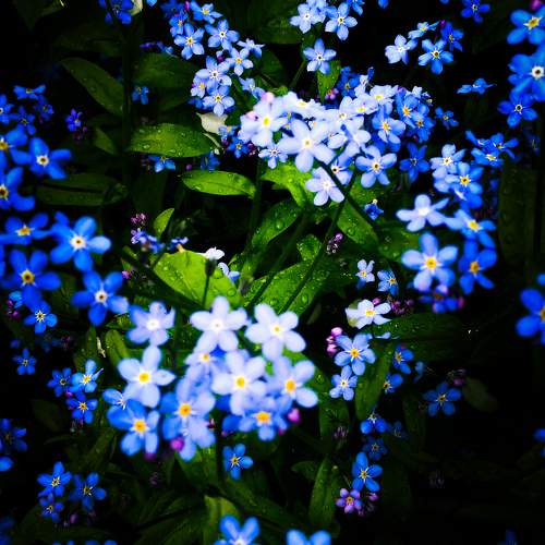 Photo #10815344