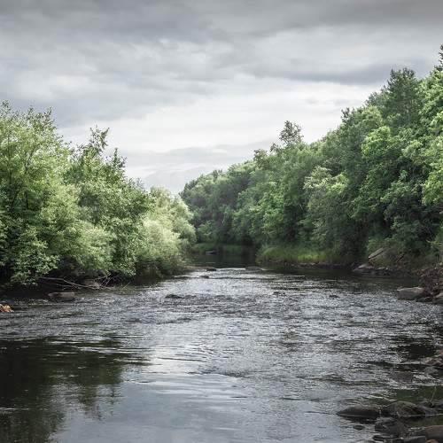 Photo #10815348