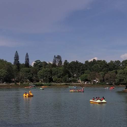 Photo #10815494