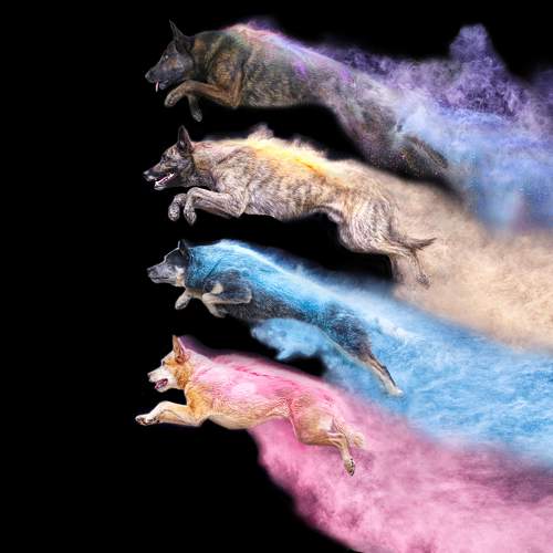Photo #10815666