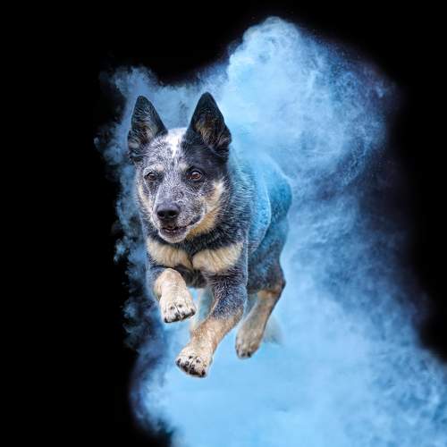 Photo #10815677