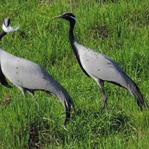 Photo #10815792