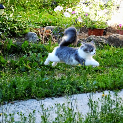 Photo #10815816