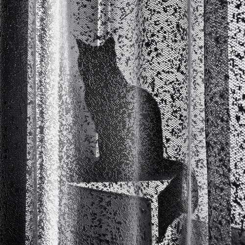 Photo #10816030