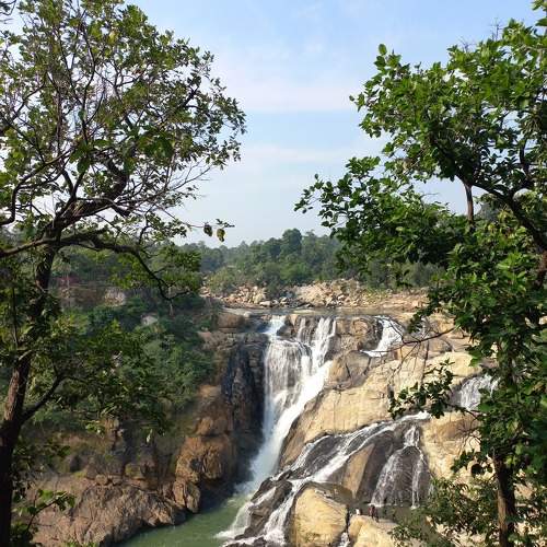 Photo #10816453