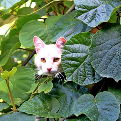 Photo #10816471