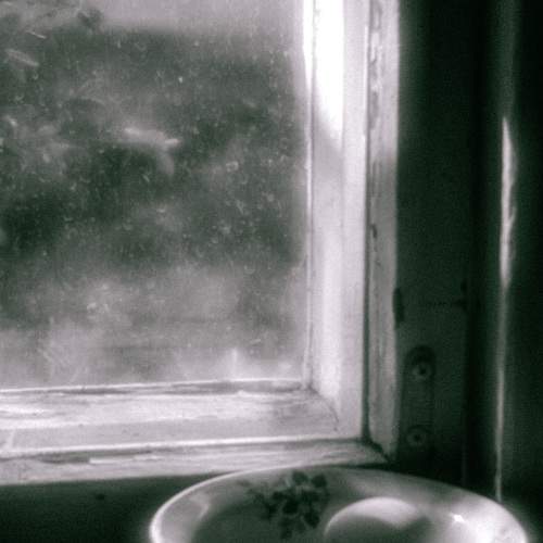 Фотография #10816484