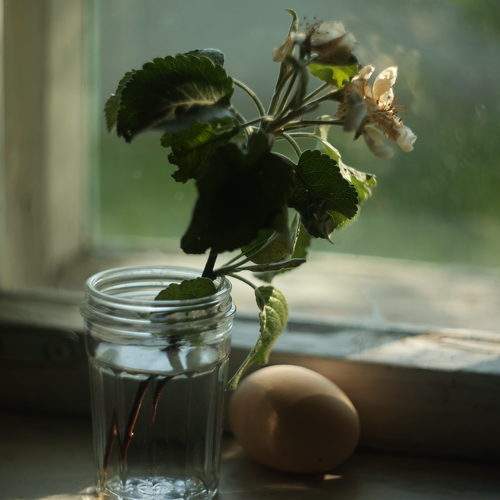 Фотография #10816501