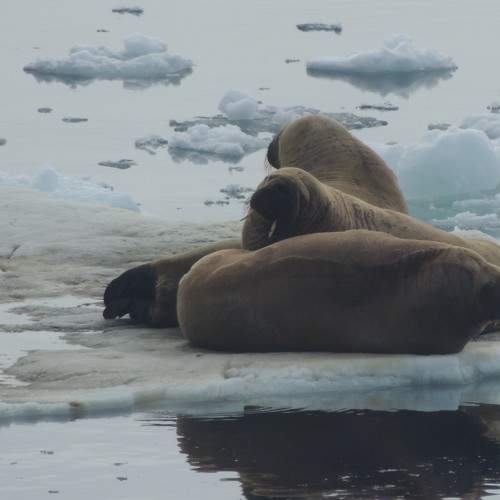 Photo #10816622