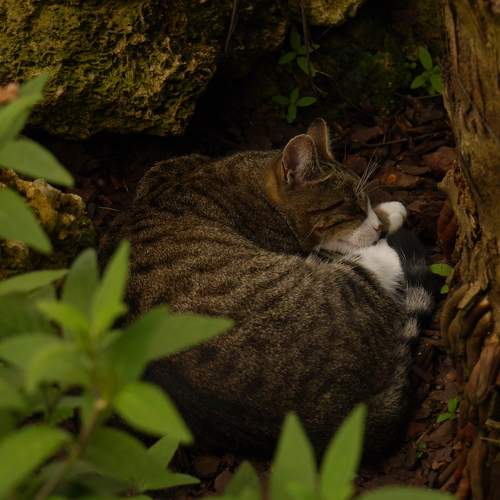 Photo #10817097
