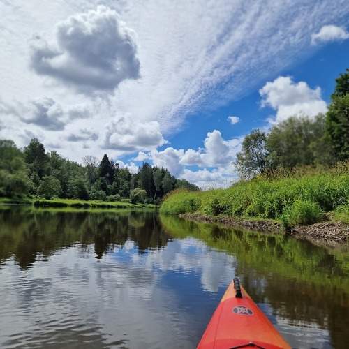 Photo #10817257