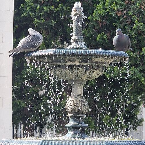 Photo #10817449
