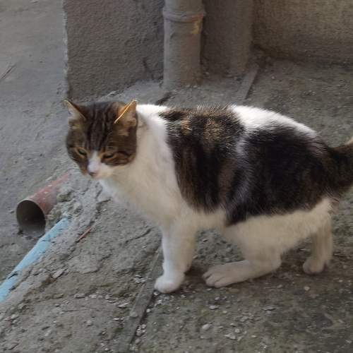 Photo #10817559