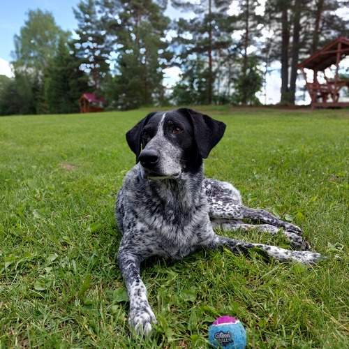 Photo #10818384