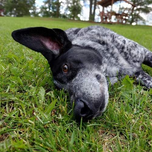 Photo #10818385