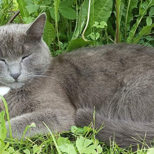 Photo #10818546