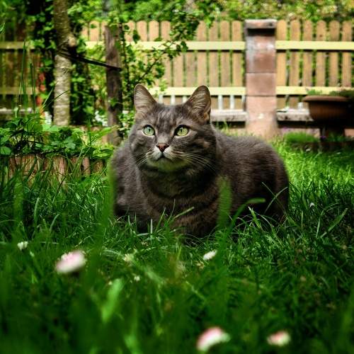Photo #10818885