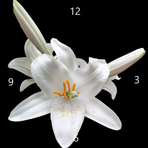 Часы / Clock