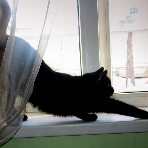 Photo #10819083