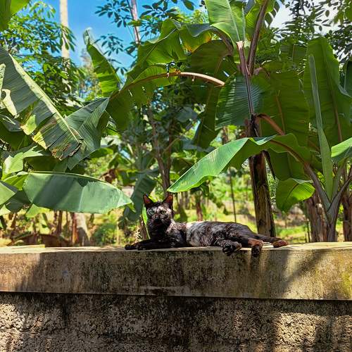 Photo #10819477