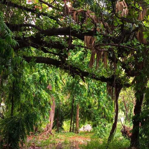 Photo #10819751