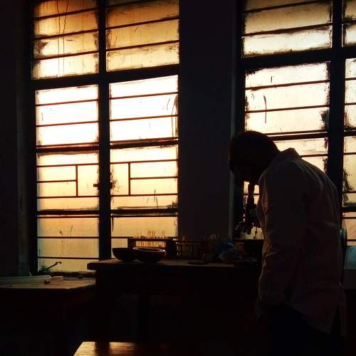 Photo #10819758