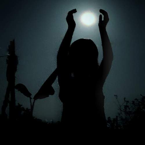 Photo #10820208