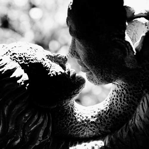 Photo #10820444