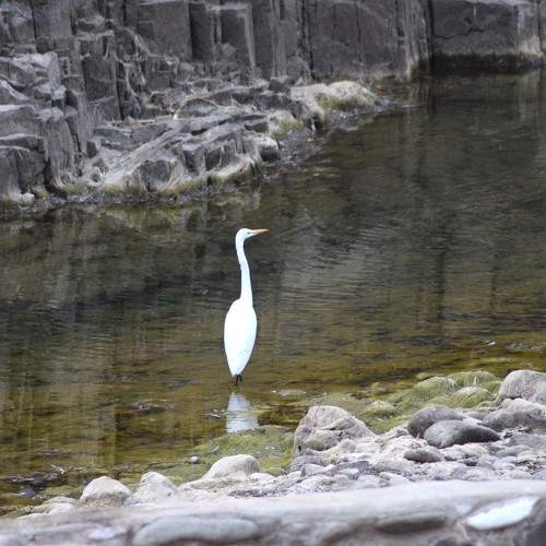 Photo #10821273