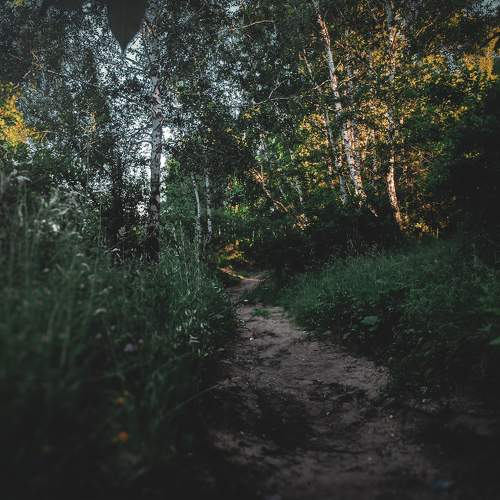 Photo #10821609
