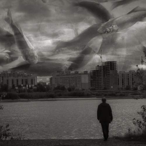 Photo #10822698