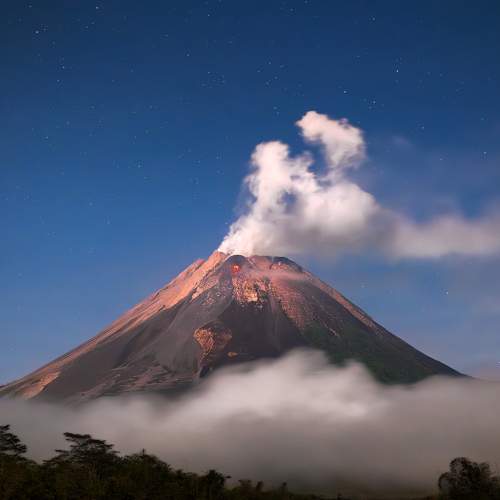 Photo #10822773