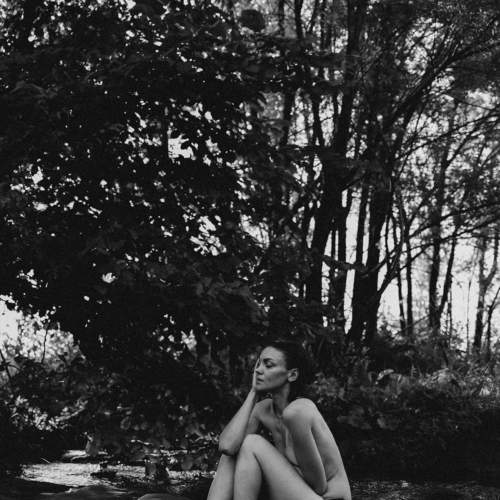 Photo #10822815