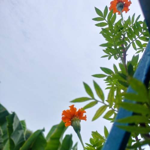 Photo #10823105