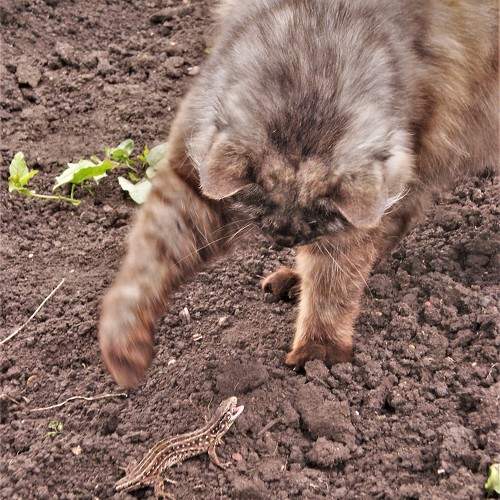 Photo #10823349