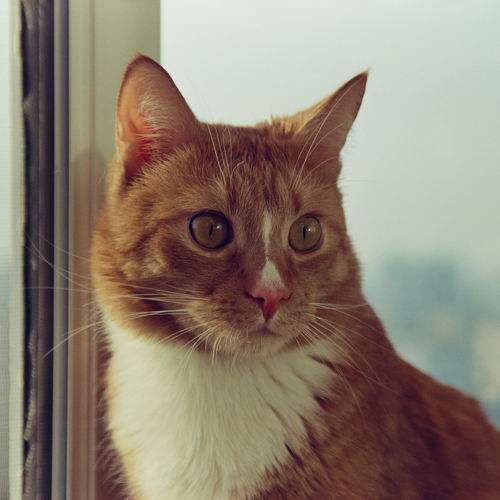 Photo #10823352
