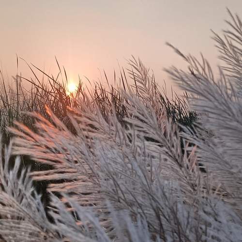 Photo #10823418