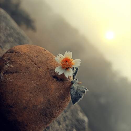Photo #10823419