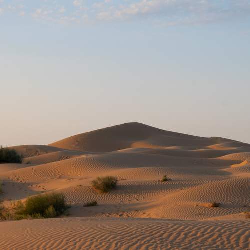 Photo #10823711