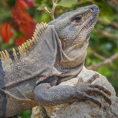 Photo #10823836