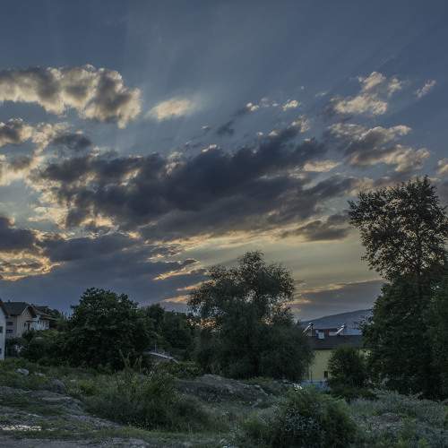 Photo #10823909