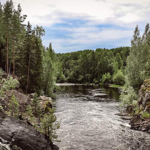 Photo #10824093