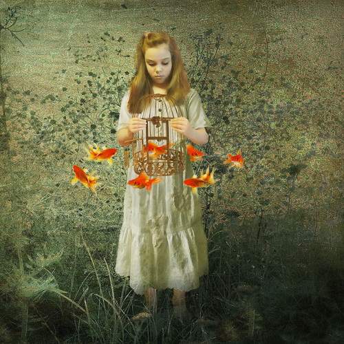 Photo #10824103