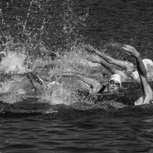 Photo #10824125