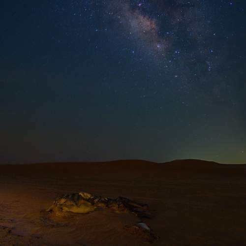 Photo #10824611