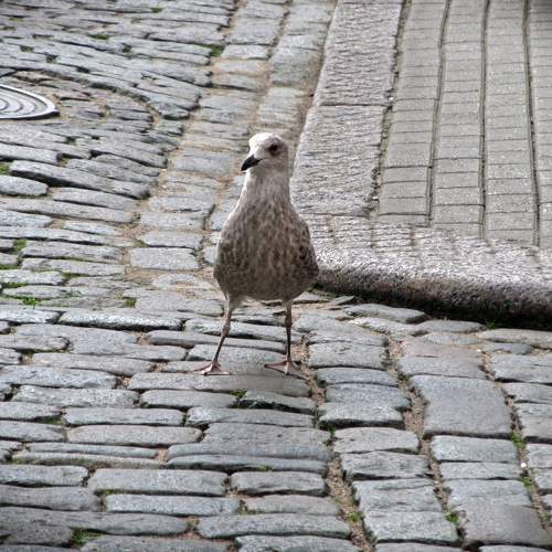 Photo #10824811